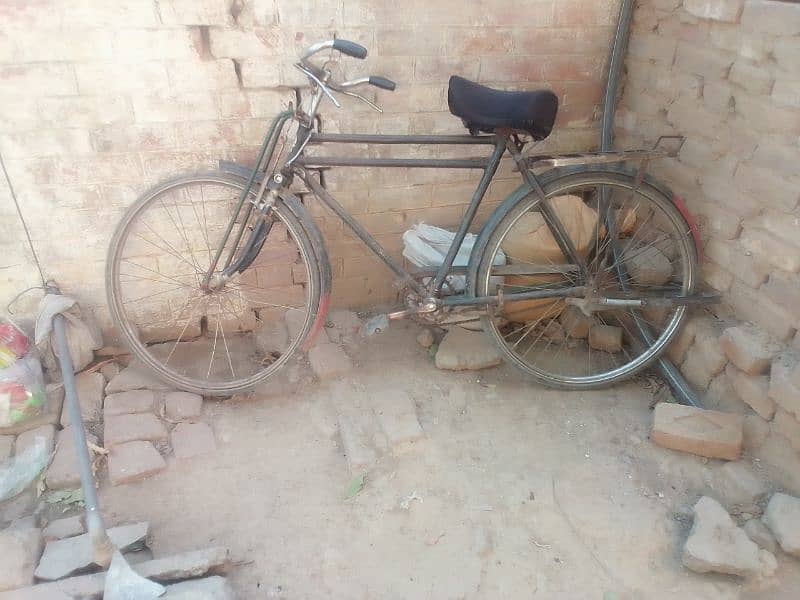 bicycle china model 0