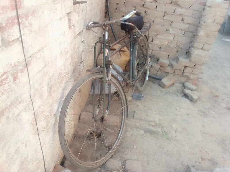 bicycle china model 1