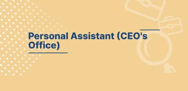Assistant to the CEO 0