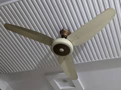 Parwaz ceiling fan