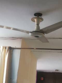 20 piece of ceiling fans