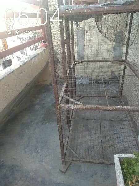 Birds and Hens cage for sale 3