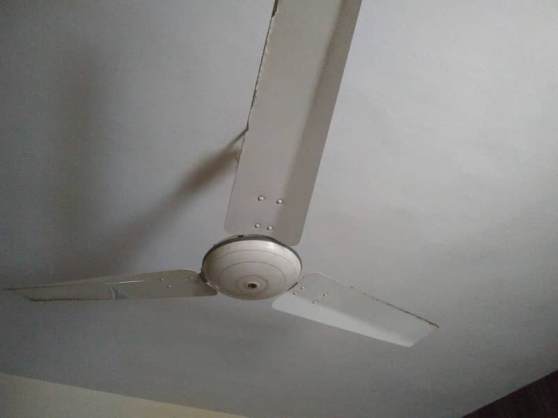 Ceiling Fan, Royal Fan 0