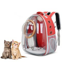 Cat Carrier and Jet Box puppy