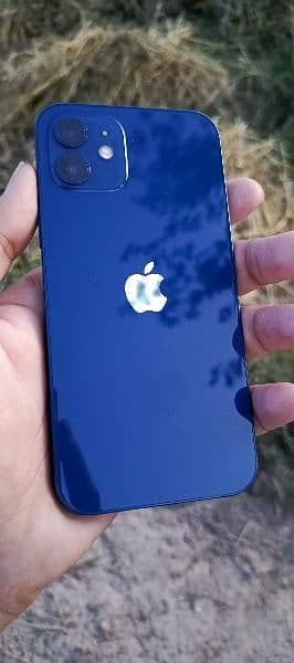 iphone 12 128GB 84 health 10 by 10 condition 1