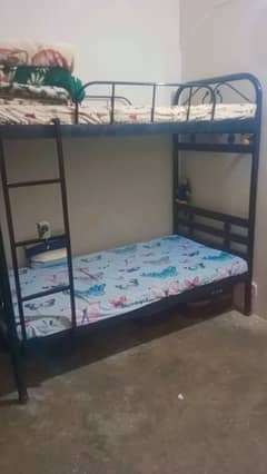 bunker bed without mattress for sale