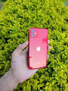 iPhone 11 128GB PTA Approved