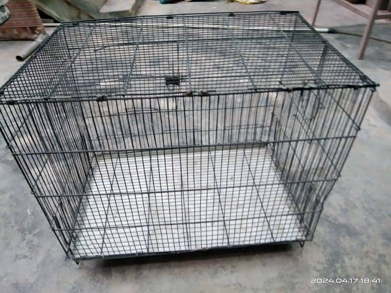 Cage for Sale 2