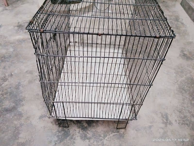 Cage for Sale 3