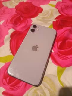iPhone 11 (PTA Approved) (128 GB)