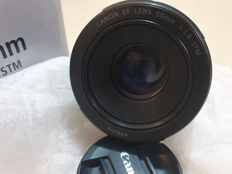 brand new 50mm STM lens Canon camera DSLR LENS 4