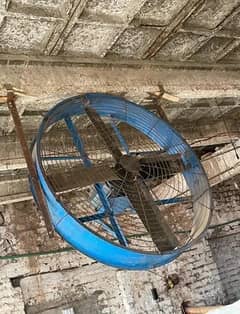 Dairy Fan heavy duty industrial fan 0