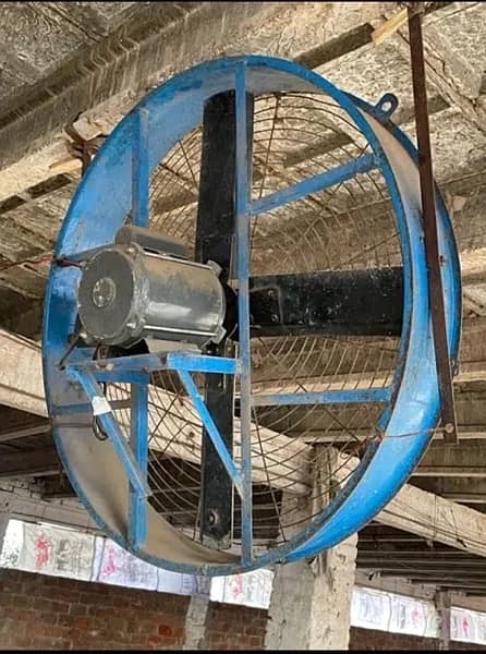 Dairy Fan heavy duty industrial fan 1