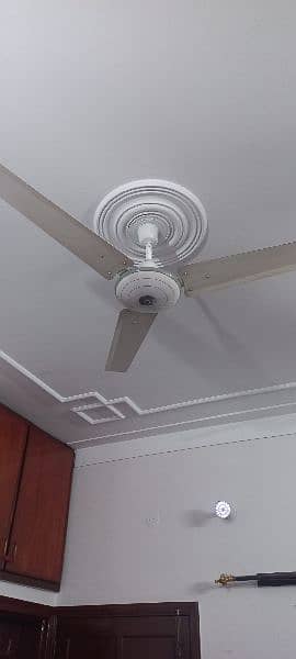 Ceiling Fans pairs 1