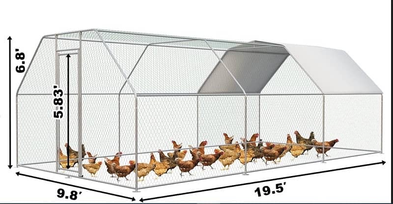 Goat and Hen cage 4