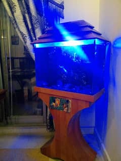Fish Tank (Aquarium) only