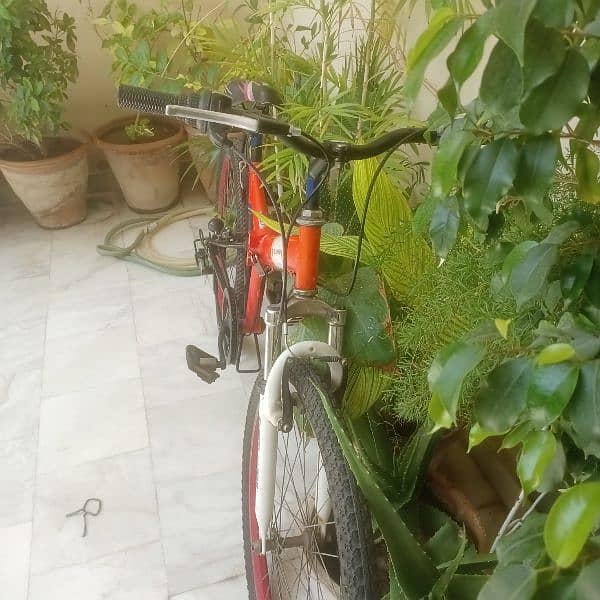 imported cycle, folding and full size. price is negotiable 03443656949 5