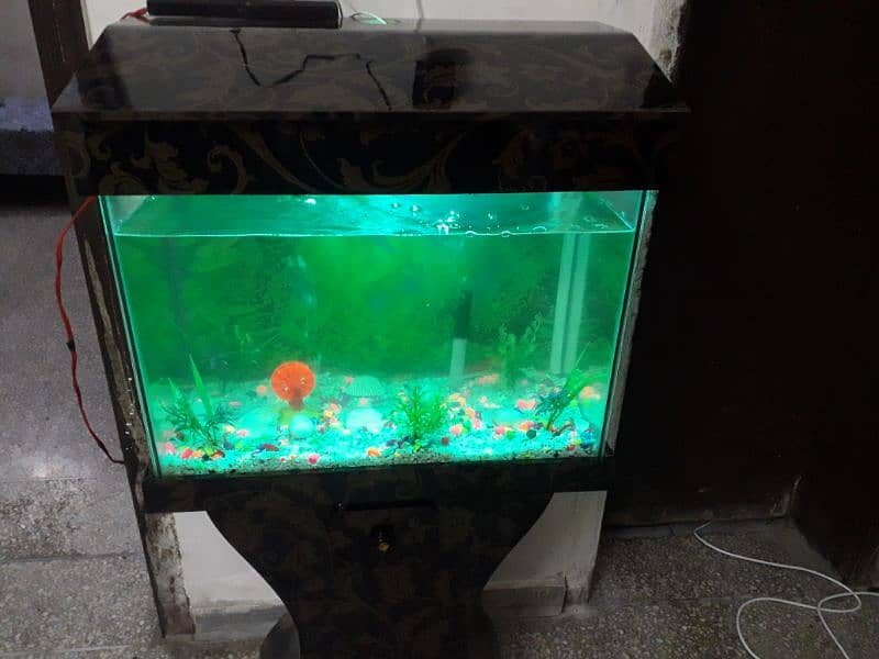 aqviriyam fish box with fish and oxsigen moter and 2 bya 2 fit  glass 2