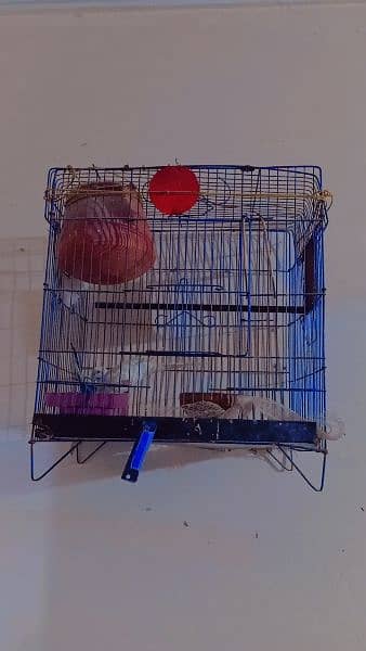 cocktail cage with Australian cage for sale.         03336667187 1