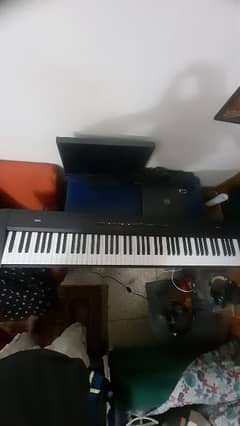 Korg sp-200 88 weighted keys piano