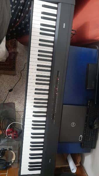 Korg sp-200 88 weighted keys piano 2