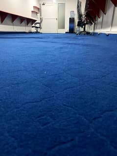 Office/Home Blue Textured Carpet