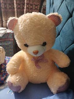 Teddy Bear (available in different colors)
