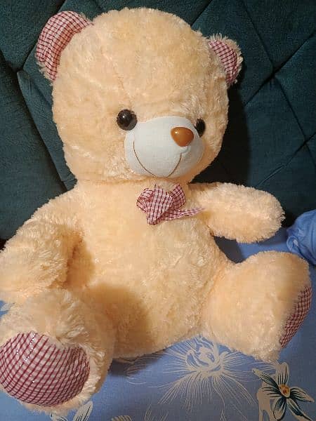 Teddy Bear (available in different colors) 1