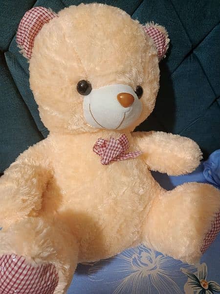 Teddy Bear (available in different colors) 2