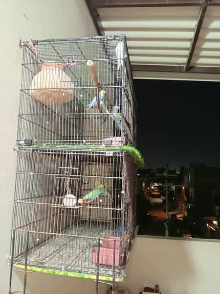 cages for sell 1
