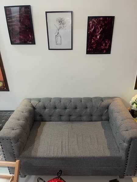 Two seater Sofa for sale 1