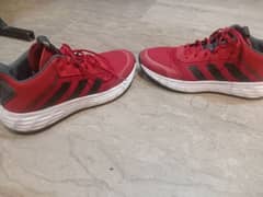 addidas original shoes in red