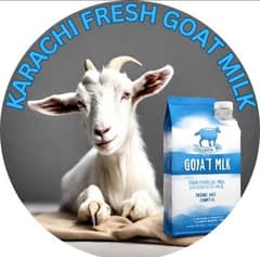 Goat milk bakri ka doodh, Milk @ 400/ liter Fixed