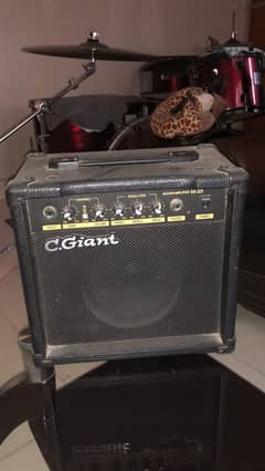 C. GIANT M-20 guitar amplifier