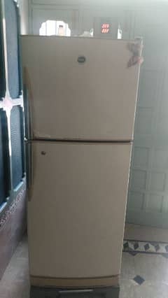 pel medium fridge