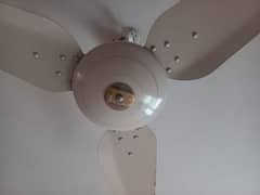 fan | two celling fans