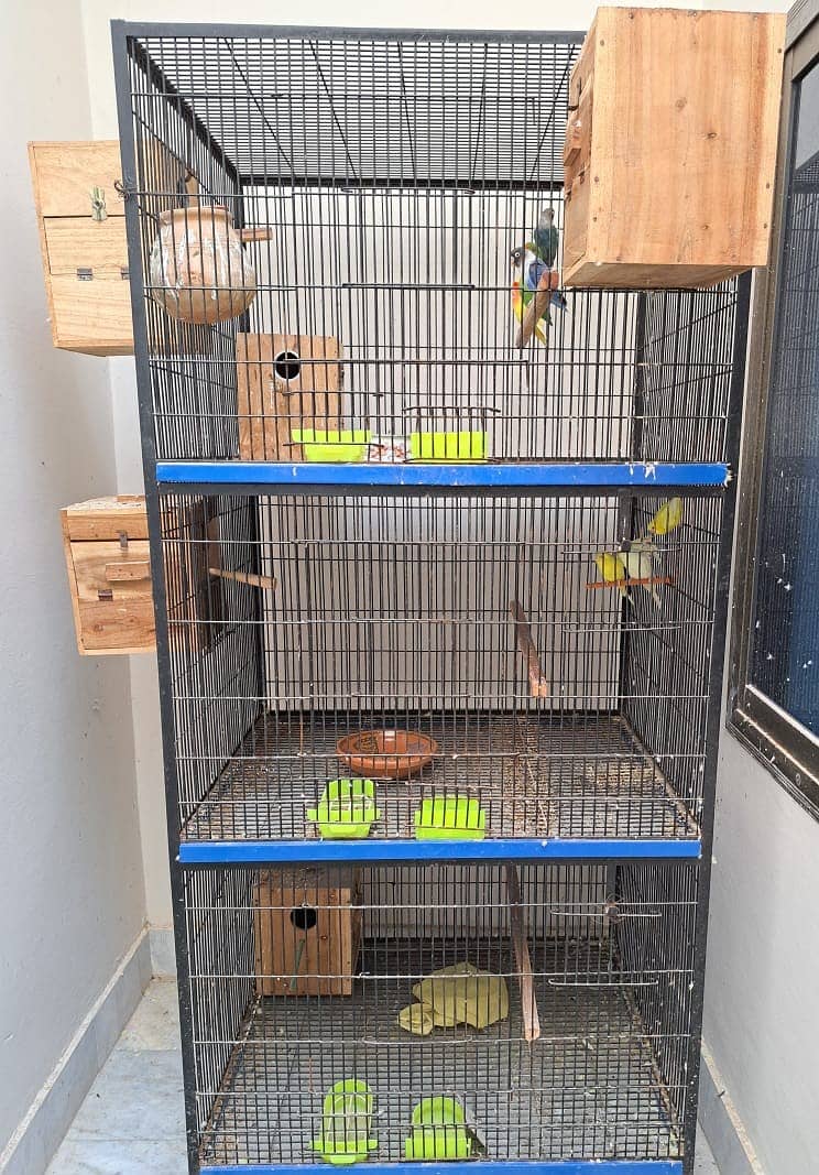 Bird Cage For Sale ( For All Types of Birds ) 1