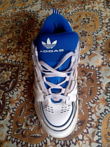 Adidas shoes 2