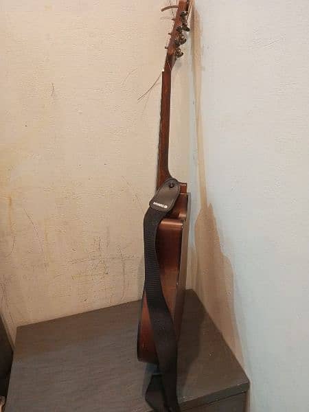 the Olive tree guitar 2