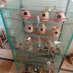 big size 2 portion cage for sell