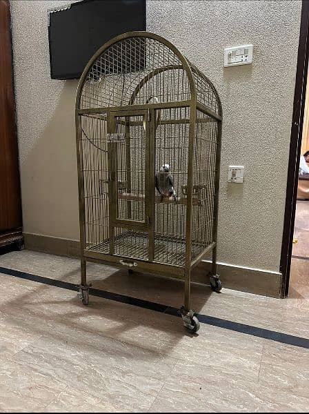 Large Moving Cage top sitting for all pet birds or Grey parrot 6