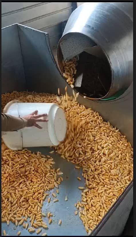 Running Salanty Chips & Pops Factory For Sale 4