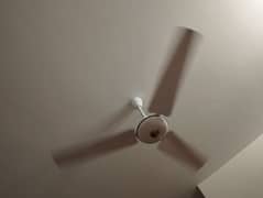 USED pak fan ceiling  in Qty