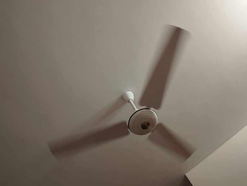 USED pak fan ceiling  in Qty 0
