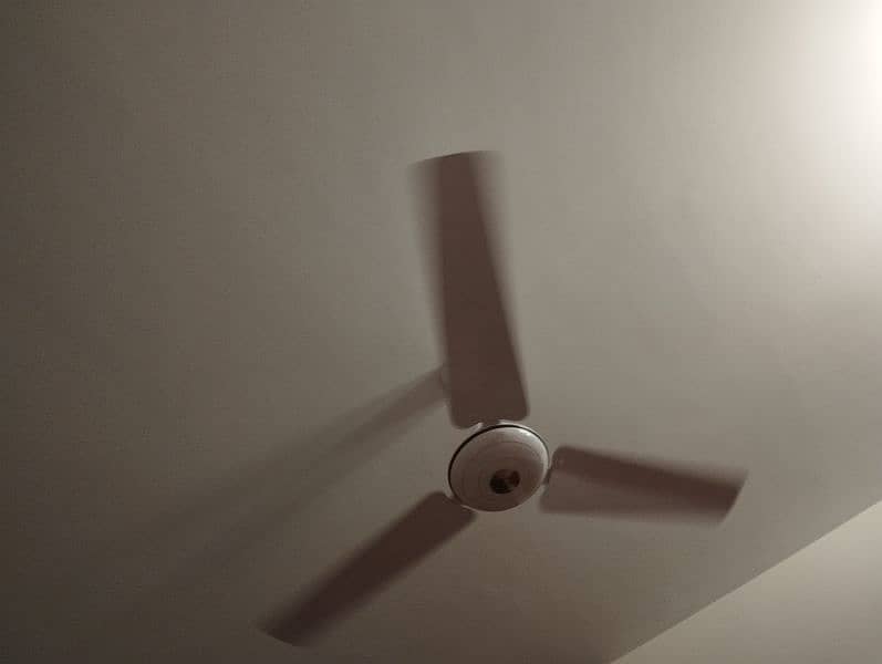 USED pak fan ceiling  in Qty 1