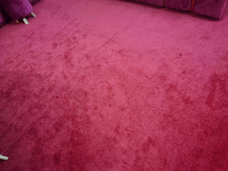 New carpet. 1