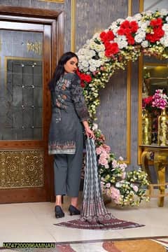 Amna. B brand women clothes unstitched Dhanak printed 0