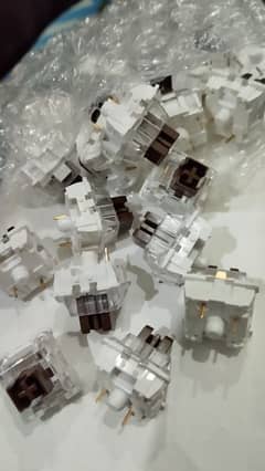 Cherry MX brown Mechanical switches for mechanical keyboard. 65x pack