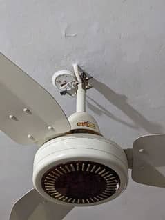 ceiling fan - Super Asia