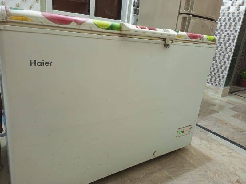 Haier D-Freezer Single Door 4